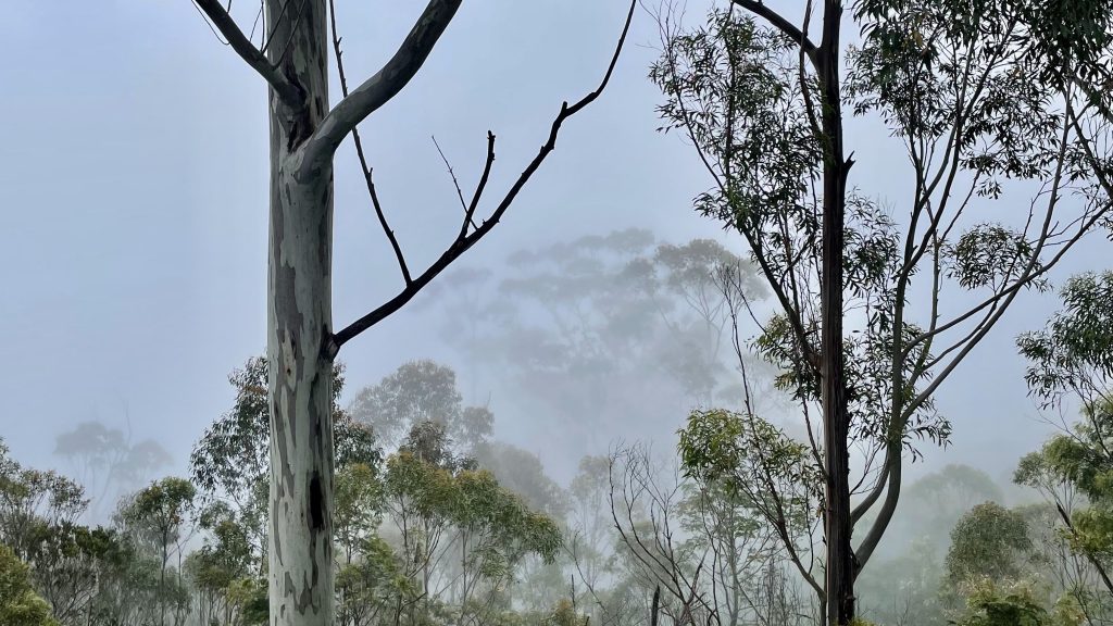 What happens when I don’t know what’s&nbsp;next